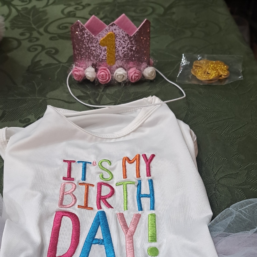 Birthday Dog Outfit with Pink Crown And Year Numbers For Crown.